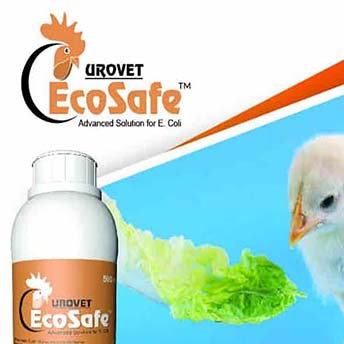 EcoSafe