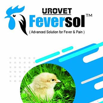 Feversol